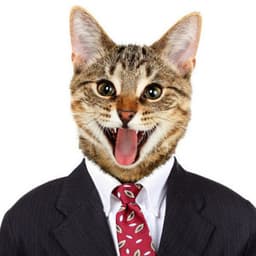 Zaydamus avatar