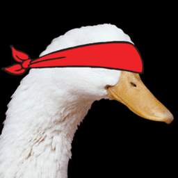 katun24 avatar