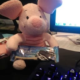 Piglet avatar