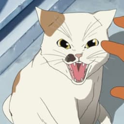 qruruq avatar