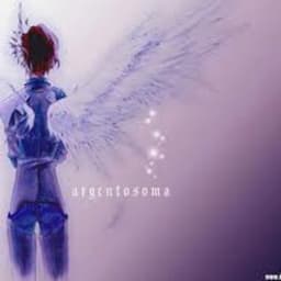 Taiice avatar