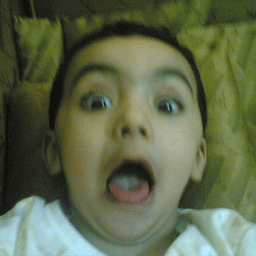 مشاري avatar