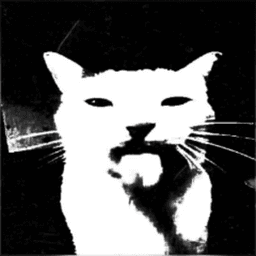 ferzztm avatar