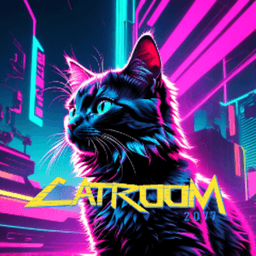 Catroom2077 avatar