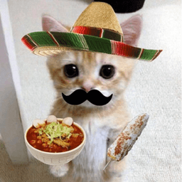 TinyTacoTony avatar