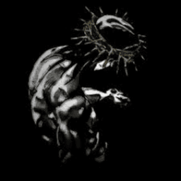 raz3rl avatar