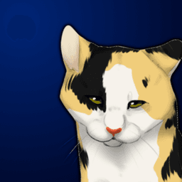 Mitchcat90 avatar