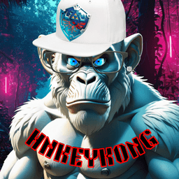 HnkeyKong avatar