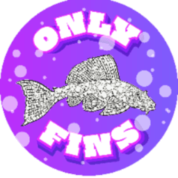 0nlyFins avatar