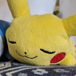 sleepikachu avatar
