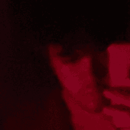 lens3r avatar