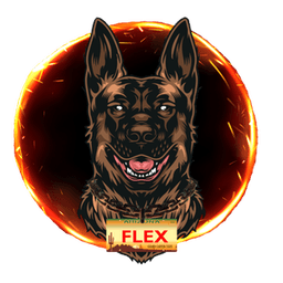 flex022_ avatar