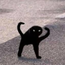 suhmuri avatar