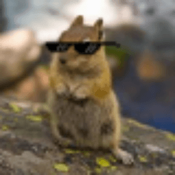 RaddestChipmunk avatar