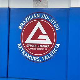 Graciebarra10 avatar