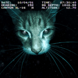 PyromaniacSoldier avatar