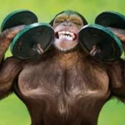 JumpyMonkey37 avatar