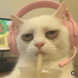 xMachineGunKitty avatar
