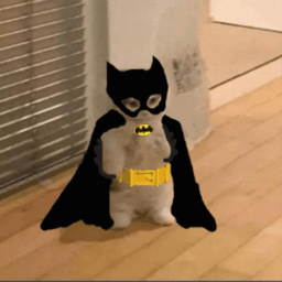 batmanhavinfun avatar