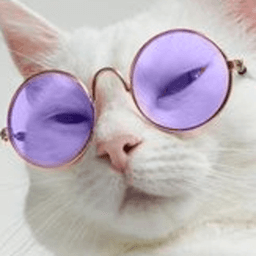 lLonty avatar