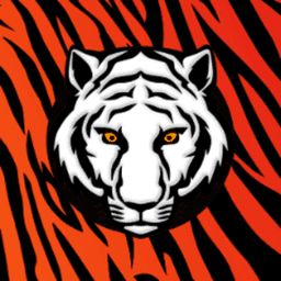 El_TigerTV avatar