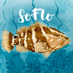 SoFloWildlife avatar