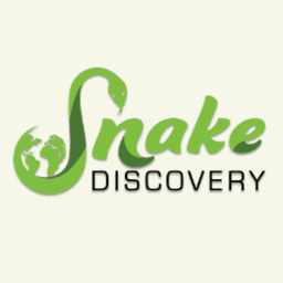 SnakeDiscovery avatar