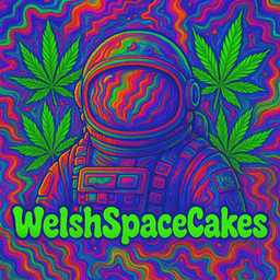 welshspacecakes avatar