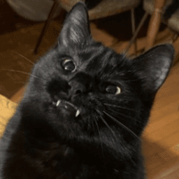 ElMasusuLeChat avatar