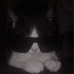 kesiins avatar