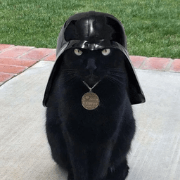 sithrookie avatar