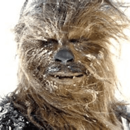 drybacca avatar