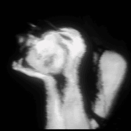 medxsaow avatar