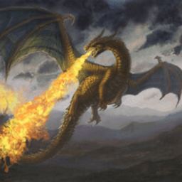 aRaginDragOn avatar