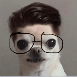 xSoSpicy avatar