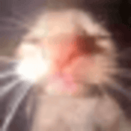 nexhc avatar