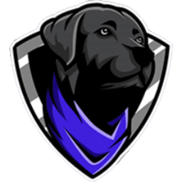 StrayDogTV avatar