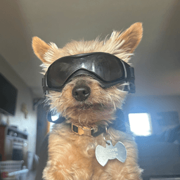 chockymilk0724 avatar