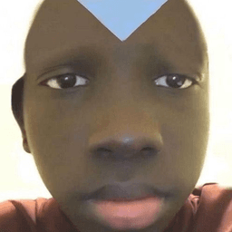vercettisizm avatar