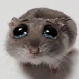 ninstoppee_ow avatar