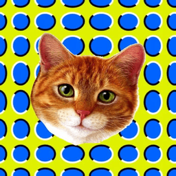 meowingmeowers avatar