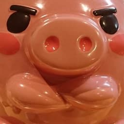 _ぶーちゃん avatar