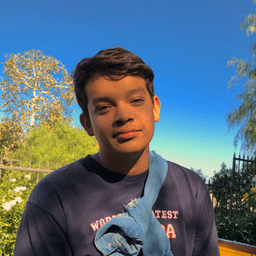 qmendoza7 avatar
