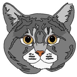 kitty__snax avatar
