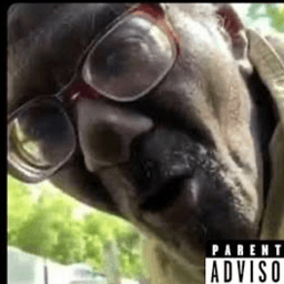 manwtfquan avatar