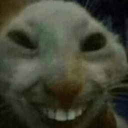 Wideleon avatar