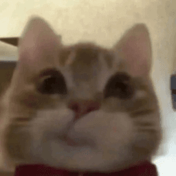 cewwchie avatar