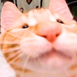 teobrioneswastaken avatar