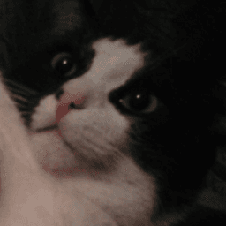 Deemonuga avatar