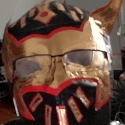 aWildChocobro avatar